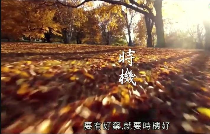 海报背景